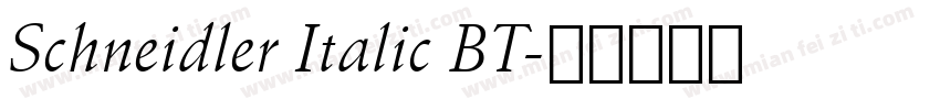 Schneidler Italic BT字体转换